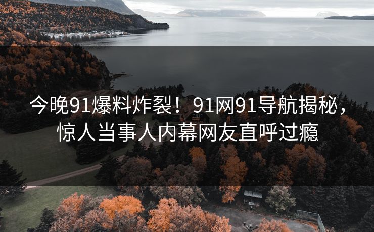今晚91爆料炸裂！91网91导航揭秘，惊人当事人内幕网友直呼过瘾
