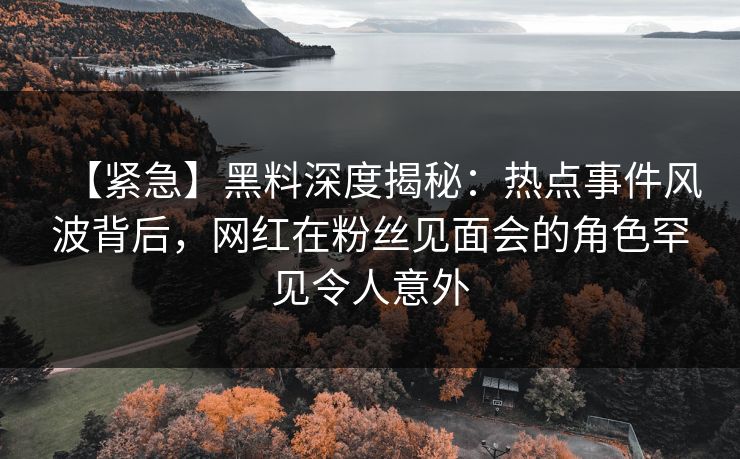 【紧急】黑料深度揭秘：热点事件风波背后，网红在粉丝见面会的角色罕见令人意外