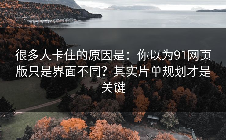 很多人卡住的原因是：你以为91网页版只是界面不同？其实片单规划才是关键